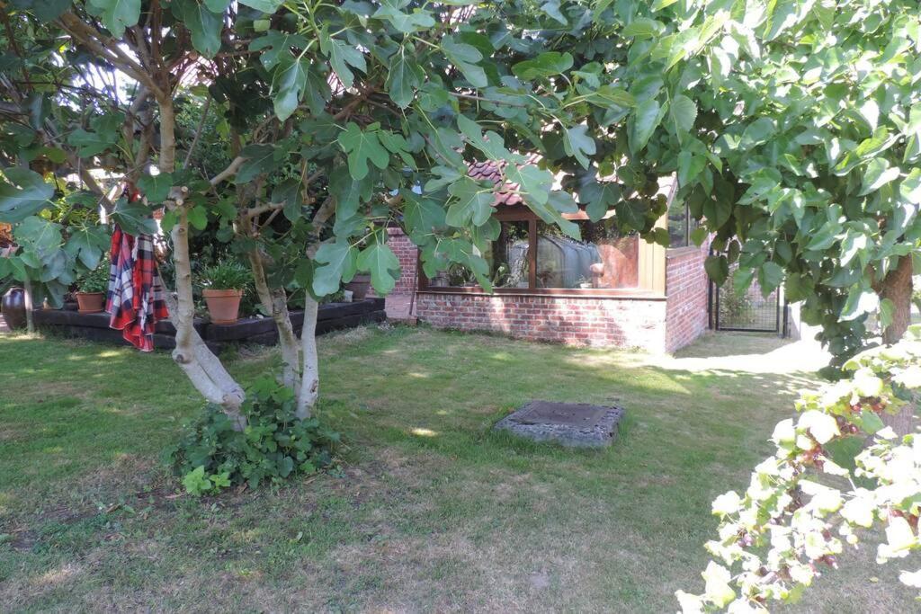Vakantiewoning Zoetebeek Ауденарде Екстер'єр фото